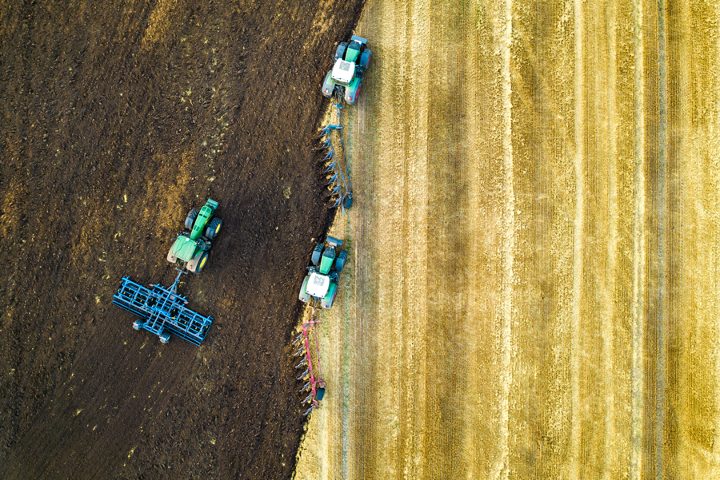Farmers tilling the ground after a harvest